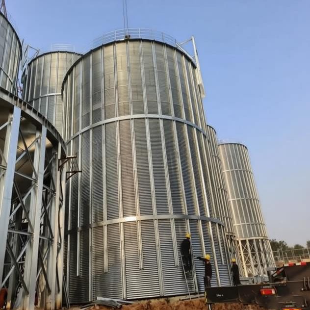 Reis Bran Silo